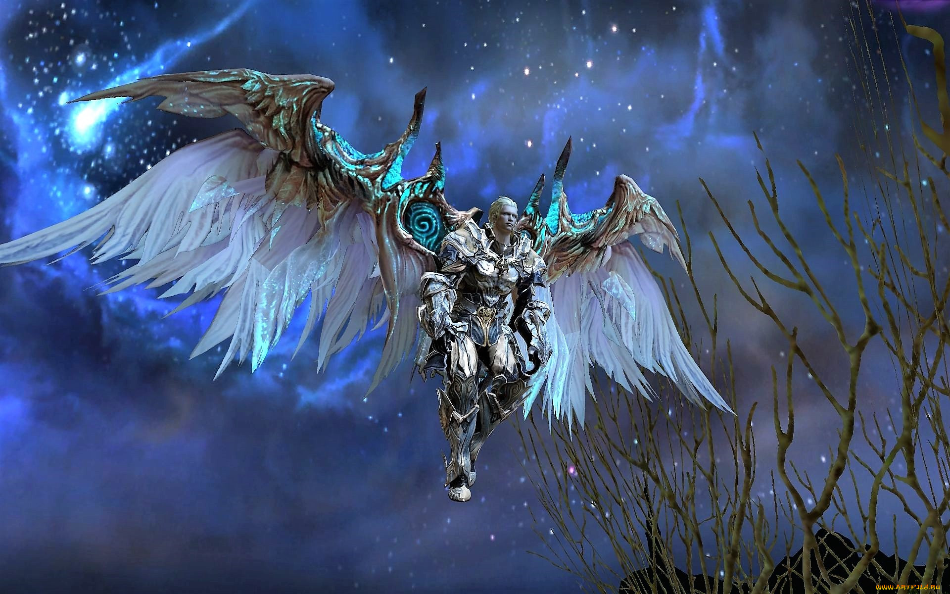  , aion, , , 